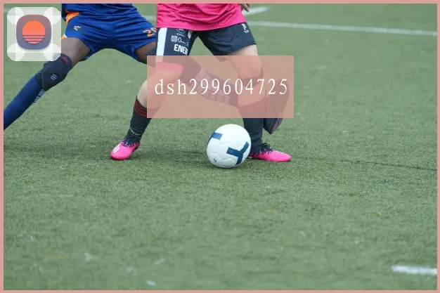 dsh299604725